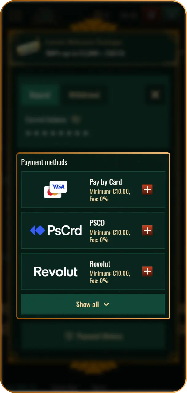 Select Payment Method from popular, secure options including cards, e-wallets, and online transfers on Spybet.