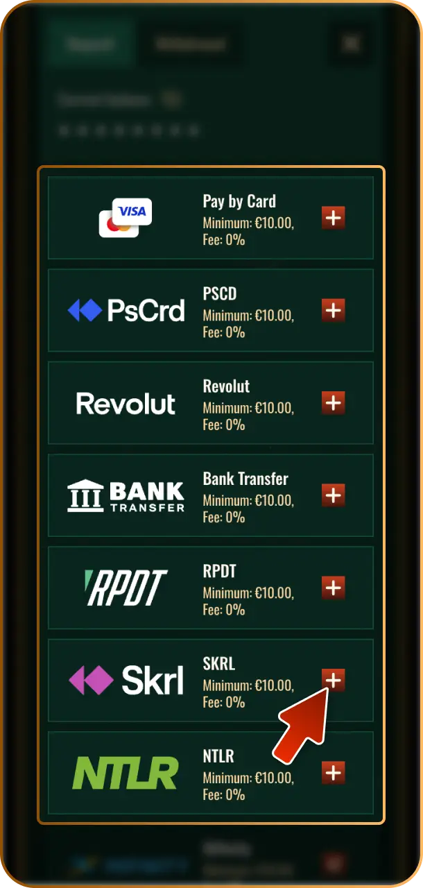 Choose your payment method from a variety of secure options available at Spybet.