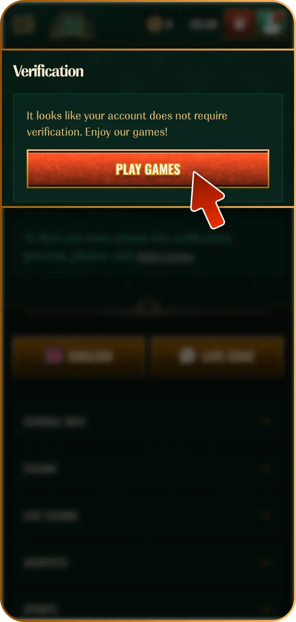 Confirm Contact details by verifying your email address or mobile number on Spybet.