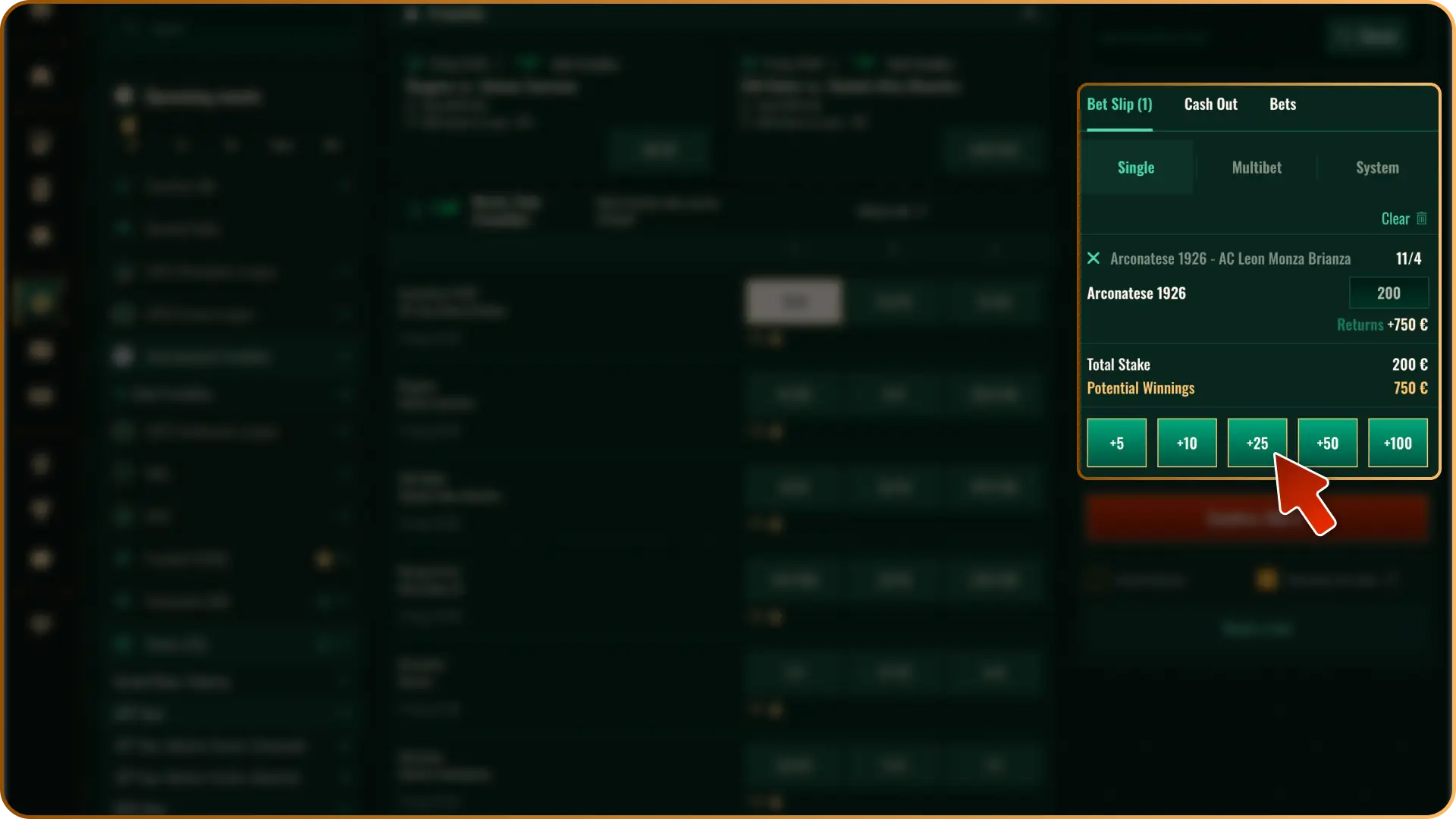 Set Your Stake in the betslip to view your potential returns on Spybet.