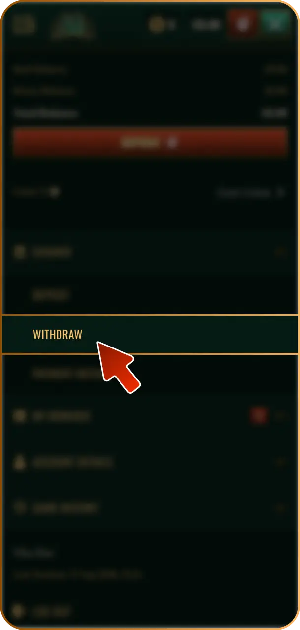 Open the Cashier section from your Spybet account dashboard.